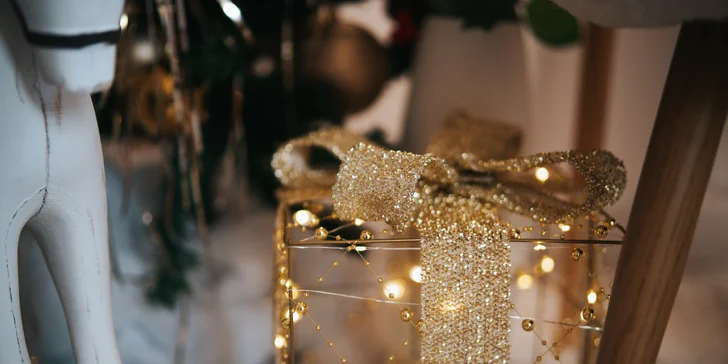 Focení v ateliéru či exteriéru: páry, rodiny či portréty, těhotenské i tematické fotky