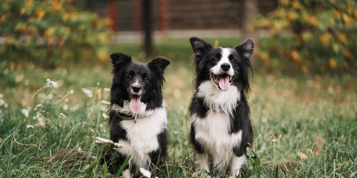 Focení v ateliéru či exteriéru: páry, rodiny či portréty, těhotenské i tematické fotky