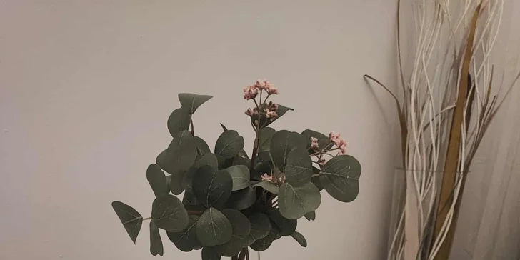 Omlazení pleti a redukce podbradku pomocí Skinbooster Vital Injector nebo vlasová mezoterapie