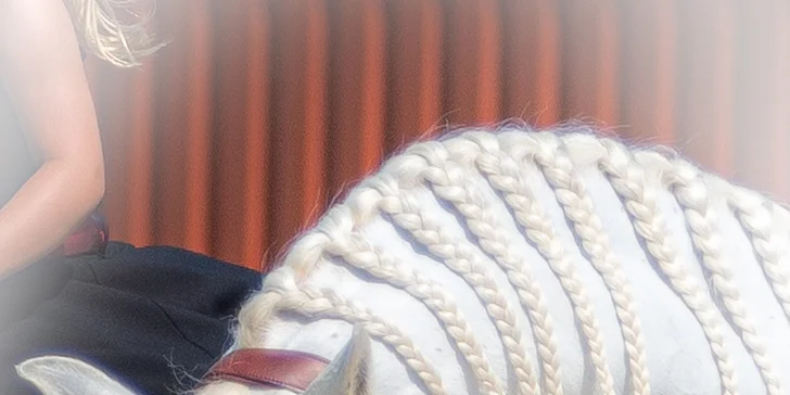 Profesionální focení: mazlíčci, portrétní, rodinné či na farmě i vč. líčení a účesu