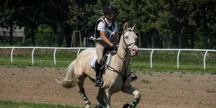 Profesionální focení: mazlíčci, portrétní, rodinné či na farmě i vč. líčení a účesu