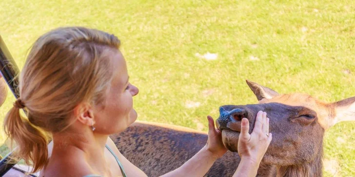 Dobrodružství jako z divočiny: 60minutová jízda v Offroad Safari pro 1 i 2 osoby