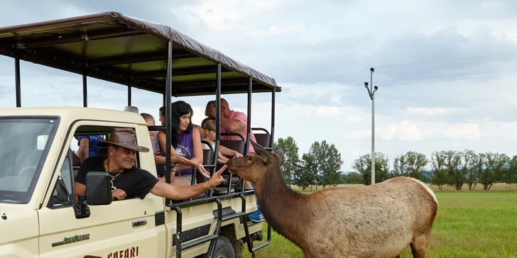 Dobrodružství jako z divočiny: 60minutová jízda v Offroad Safari pro 1 i 2 osoby