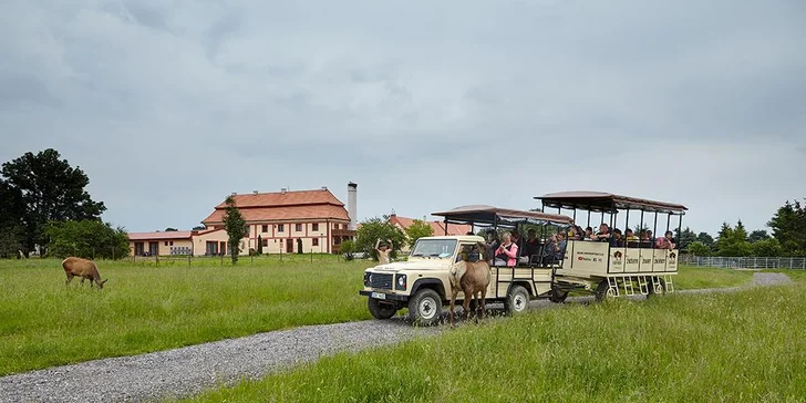 Dobrodružství jako z divočiny: 60minutová jízda v Offroad Safari pro 1 i 2 osoby