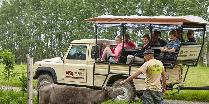 Dobrodružství jako z divočiny: 60minutová jízda v Offroad Safari pro 1 i 2 osoby