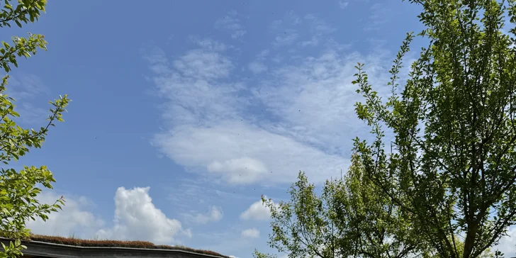 Dovolená v pohádkovém Hobitíně pod Orlickými horami pro pár i rodinu