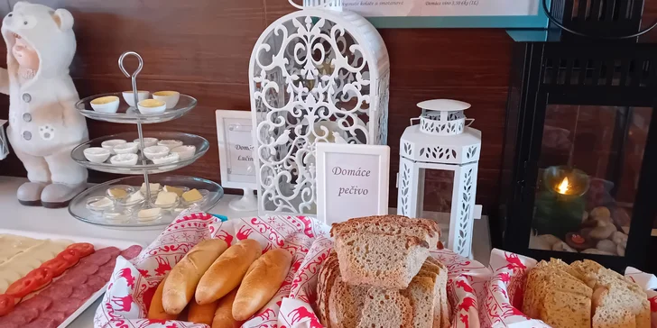 Skvělý pobyt v penzionu Podhájska se snídaní či polopenzí a možností vstupu do wellness