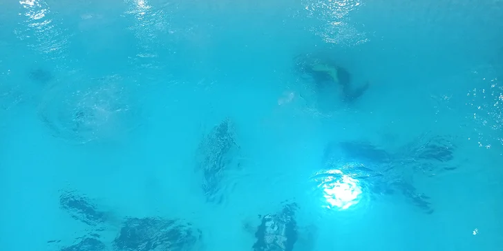 Rekreační potápění: zkušební ponor v plaveckém bazénu pro jednoho