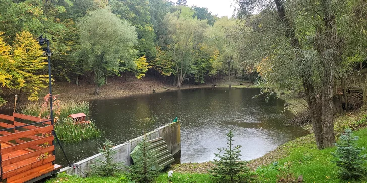 Romantická glampingová chatka u rybníku na Prostějovsku pro pár