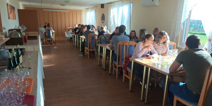 Pobyt na jižní Moravě: snídaně, neomezená konzumace sudového vína i bazén