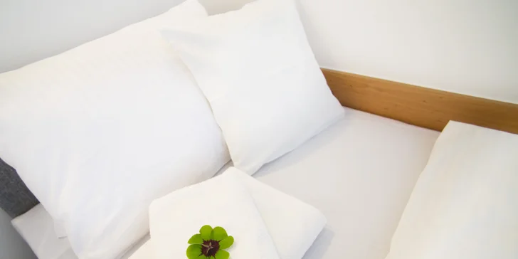 Pobyt na jižní Moravě: snídaně, neomezená konzumace sudového vína i bazén