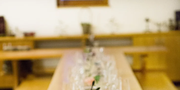 Pobyt na jižní Moravě: snídaně, neomezená konzumace sudového vína i bazén