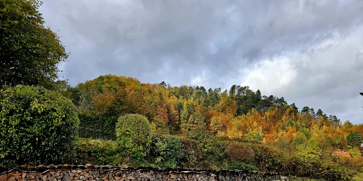České Švýcarsko: útulný penzion se snídaní i možnost procházky s oslíky