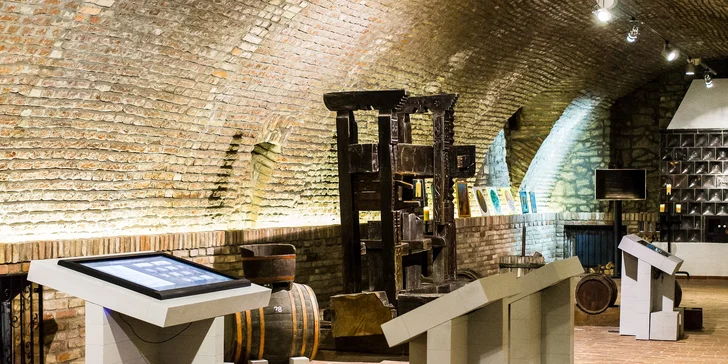 Dovolená v příjemném hotelu u Balatonu: polopenze, wellness i bohatá nabídka aktivit