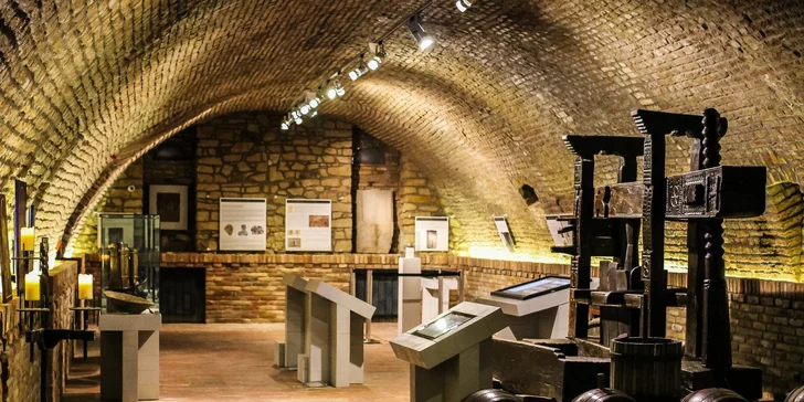 Dovolená v příjemném hotelu u Balatonu: polopenze, wellness i bohatá nabídka aktivit