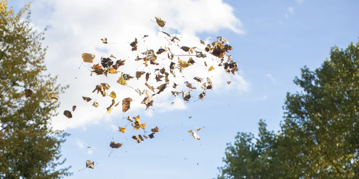 Profesionální rodinné či portrétní focení v přírodě či městě: 8 snímků