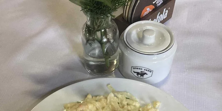 Farma u Znojma: pobyt se snídaní či polopenzí i projížďkou v koňském sedle nebo kočáře