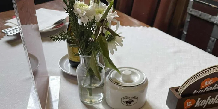 Farma u Znojma: pobyt se snídaní či polopenzí i projížďkou v koňském sedle nebo kočáře