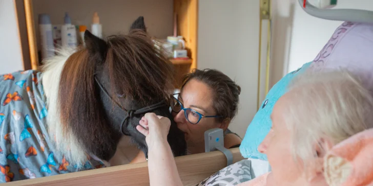 Ježíškova vnoučata: podpořte s námi organizace, které pečují o seniory a rozdávají jim radost