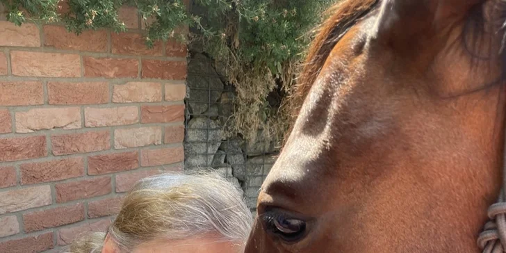 Ježíškova vnoučata: podpořte s námi organizace, které pečují o seniory a rozdávají jim radost