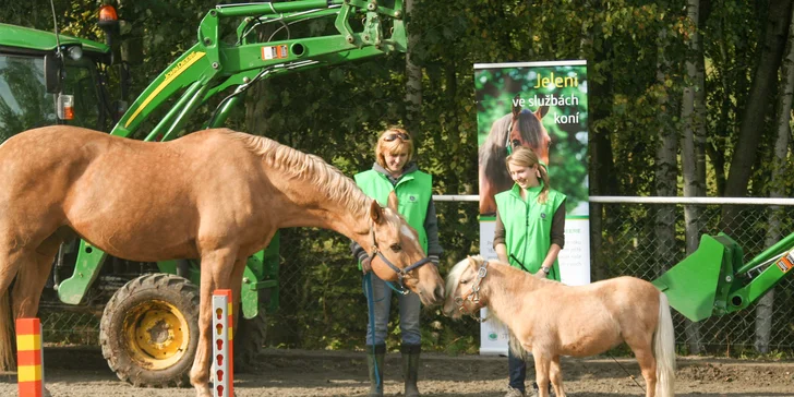 Zažijte den na koňské farmě: čeká vás trocha farmářské práce i zábava, cca 7 hod.