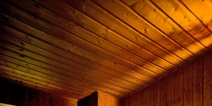 Vysoké Tatry: dovolená ve 3* hotelu v Nové Lesné s polopenzí a finskou saunou