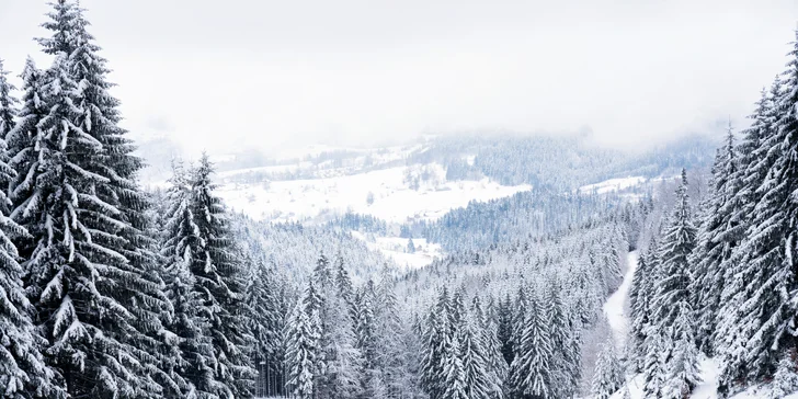 Pobyt v přírodě polských Beskyd: snídaně či polopenze a neomezený wellness