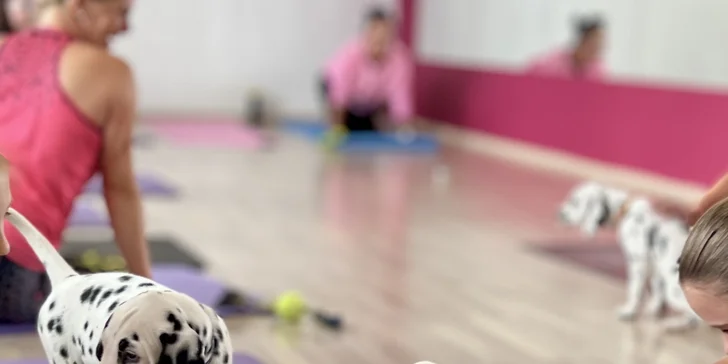 Jóga, smích a štěňátka – zážitek, který si zamilujete