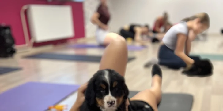 Jóga, smích a štěňátka – zážitek, který si zamilujete