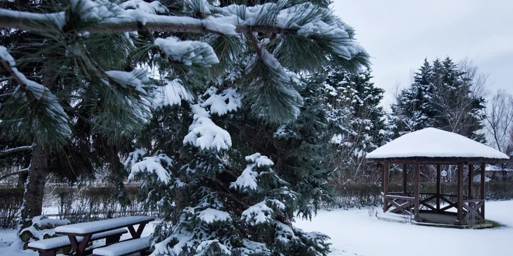 Pobyt u Neziderského jezera: 4* hotel s polopenzí, wellness, karta výhod