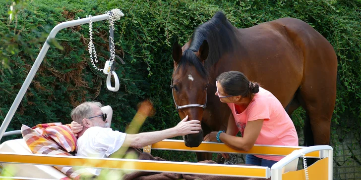 Ježíškova vnoučata: podpořte s námi organizace, které pečují o seniory a rozdávají jim radost