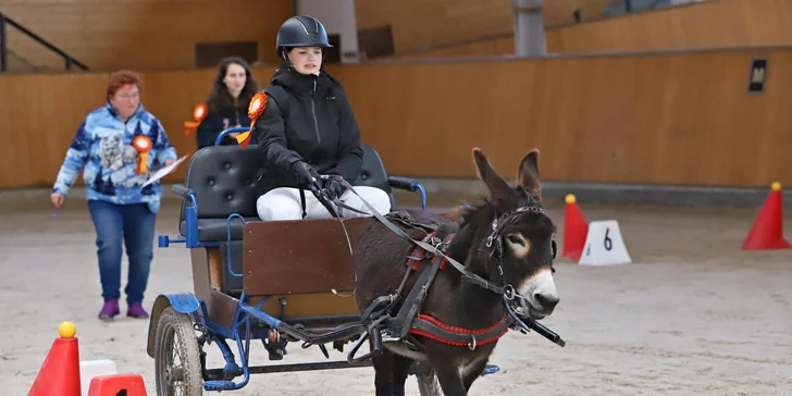 Projížďka na oslíkovi nebo poníkovi pro děti: zážitek v přírodě na 20 či 45 min.