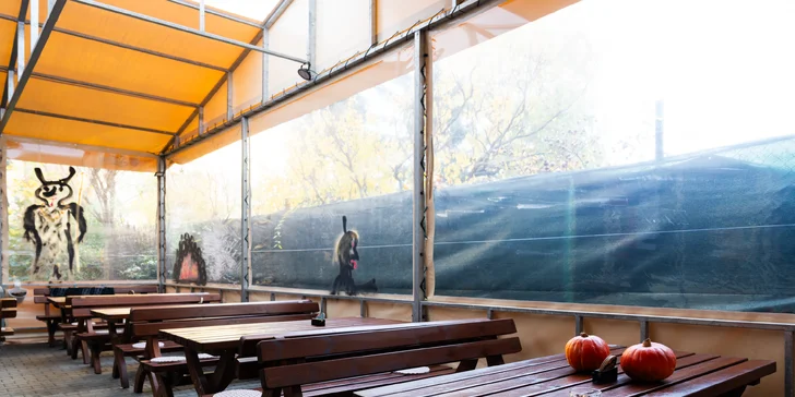 Tříchodové menu podle výběru z celého jídelního lístku U Zlaté konve pro 1 nebo 2 osoby