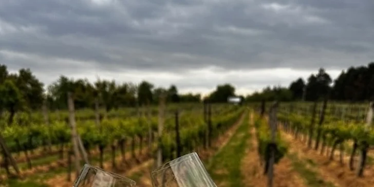 Pobyt v penzionu rodinného vinařství pro páry i skupiny vč. vína nebo degustace