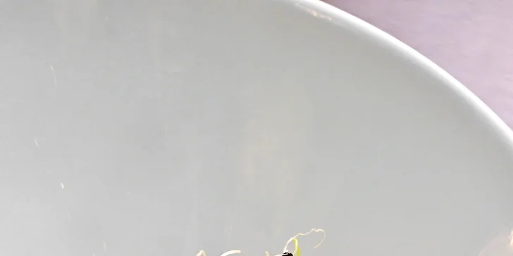 3–5chod. menu dle výběru pro 2 v Grandhotelu Bohemia: konfitované kachní prso, pstruh i dort