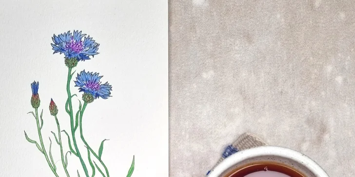 Odpočinkové kurzy tkaní: úplné základy, tvorba podtácku i tapiserie