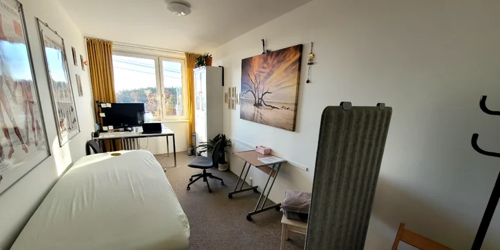 Terapie pohybového systému s podrobným vyšetřením svalů a prvky terapeutické jó pro 1 osobu