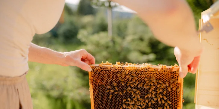 Včelařem na zkoušku vč. pobytu v apidomku a ochutnávky včelích produktů, pro 3 osoby