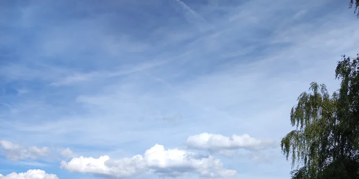 Zažijte rytmus: Workshop na africké bubny Djembe s dopravou zdarma po celé ČR