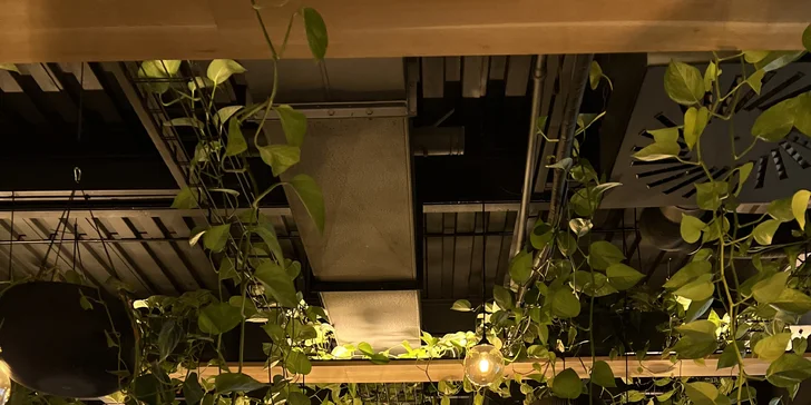 Zpomalení, uvolnění a správné dýchání: lekce jógy pro uvolnění stresu, 1 až 10 lekcí