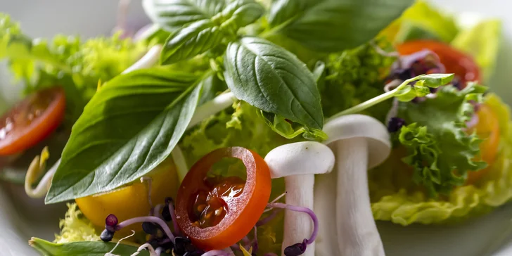 Relax v Piešťanech: all inclusive lázeňský pobyt s termální koupelí