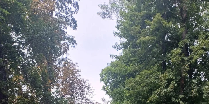 Duch Veltrus - Ztracené jméno: venkovní úniková hra v zámeckém parku