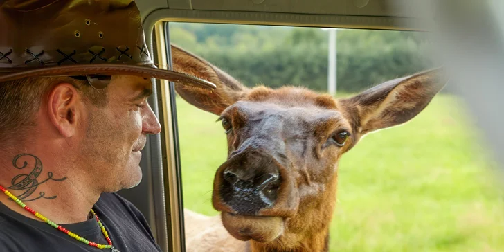 Dobrodružství jako z divočiny: 60minutová jízda v Offroad Safari pro 1 i 2 osoby