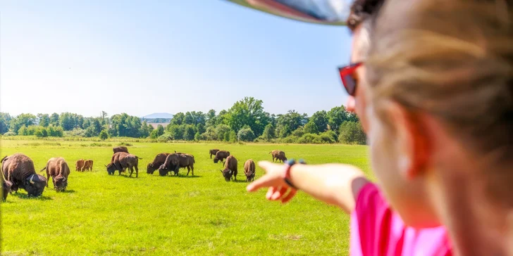 Dobrodružství jako z divočiny: 60minutová jízda v Offroad Safari pro 1 i 2 osoby