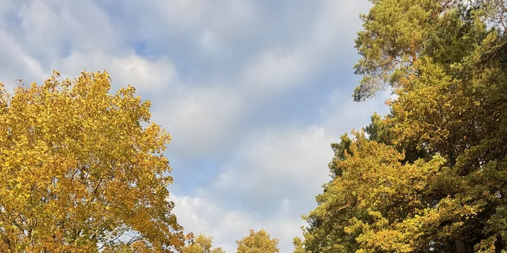 Relax a romantika v malebném Pošumaví: chaloupka s odklápěcí střechou u lesa a rybníka