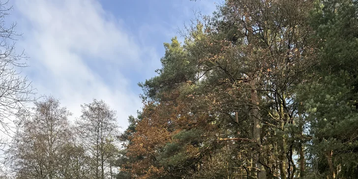 Relax a romantika v malebném Pošumaví: chaloupka s odklápěcí střechou u lesa a rybníka