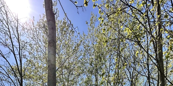 Odpočinek ve wellness domku s privátní vířivkou a finskou saunou pod Jizerkami