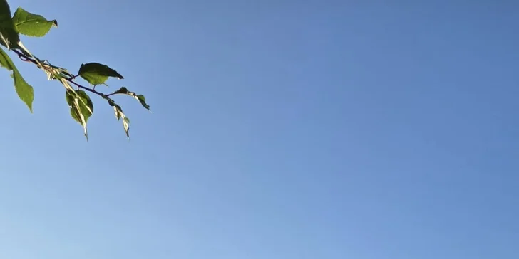 Plně vybavené apartmány u Třeboně, v nabídce i vánoční a silvestrovský pobyt