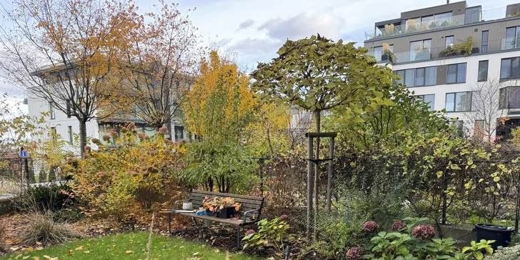 Sezónní zahradničení: praktické kurzy péče o trávník a stromy v každém ročním období