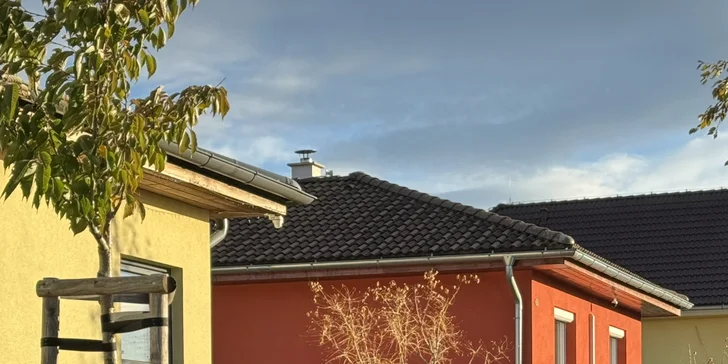 Sezónní zahradničení: praktické kurzy péče o trávník a stromy v každém ročním období